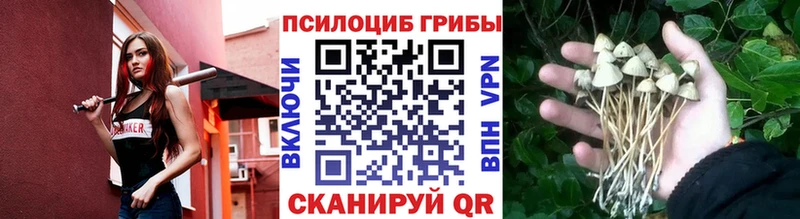 Галлюциногенные грибы мухоморы продажа наркотиков Соликамск